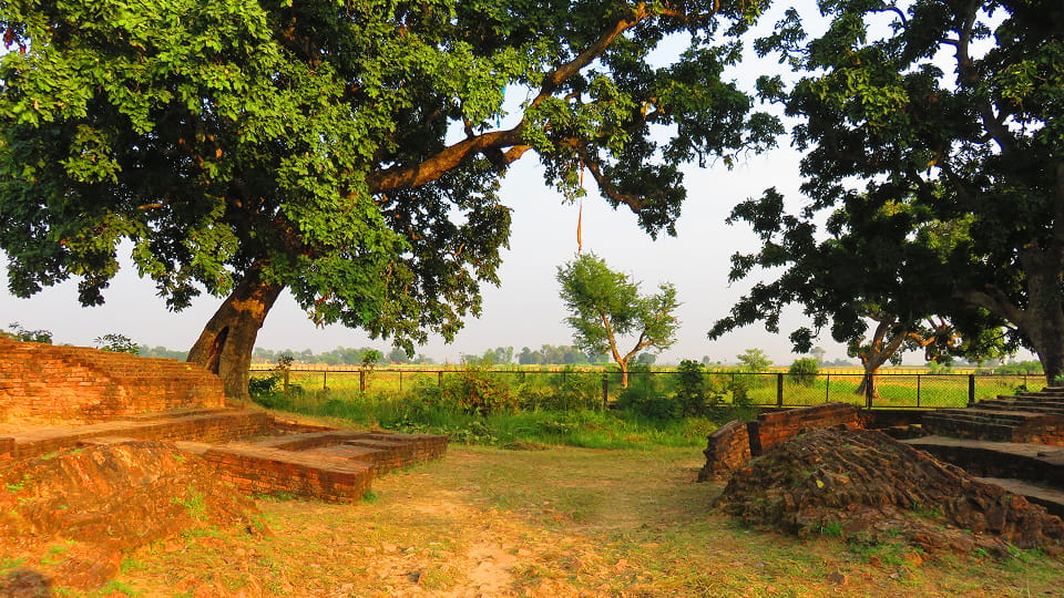 Brick ruins and old trees at Tilaurakot, ancient Kapilavastu
