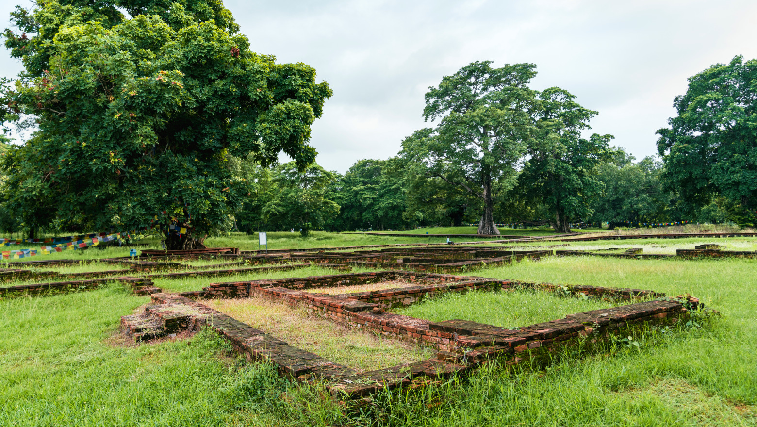Earth — Grounding & Arrival